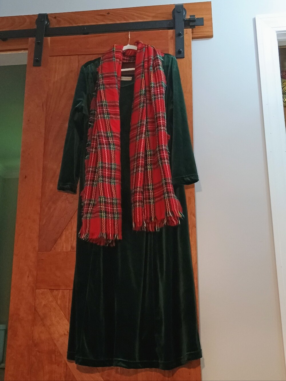 Coldwater Creek Polyester Velvet Dress Size 12